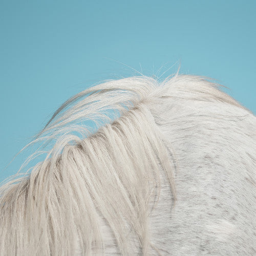 Widowspeak - All Yours [CD]