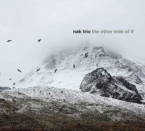 NAK Trio - The Other Side Of If Music CD