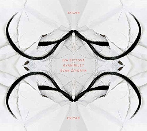 Iva Bittov  - Eviyan Music CD
