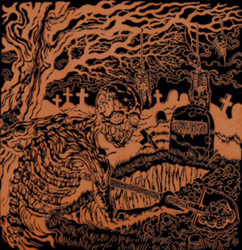 Wan - Dig Up The Past [LP] Vinyl Record