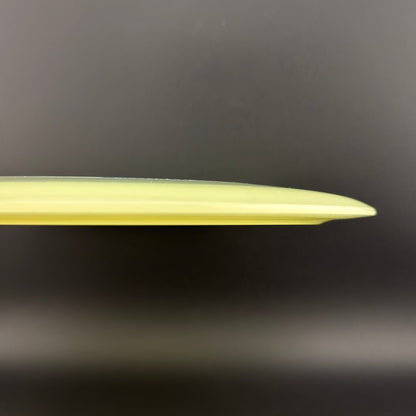 Proto Glow Champion Tern