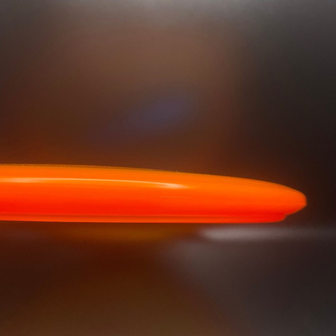 Champion Lion - F2