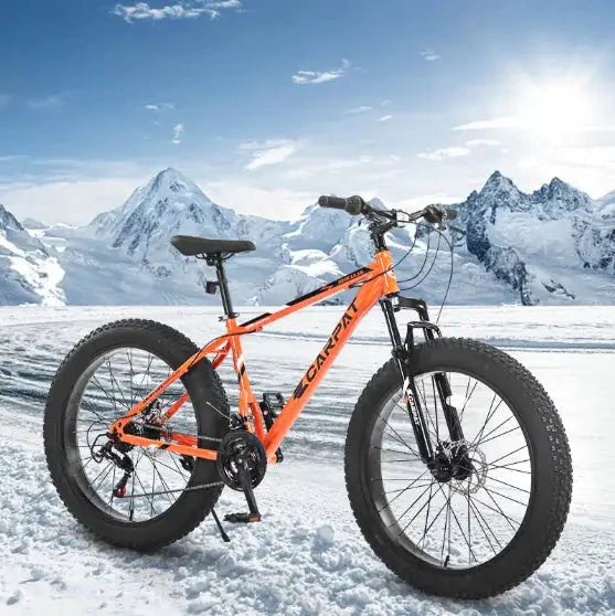 CARPAT Mountain Dirt Bikes