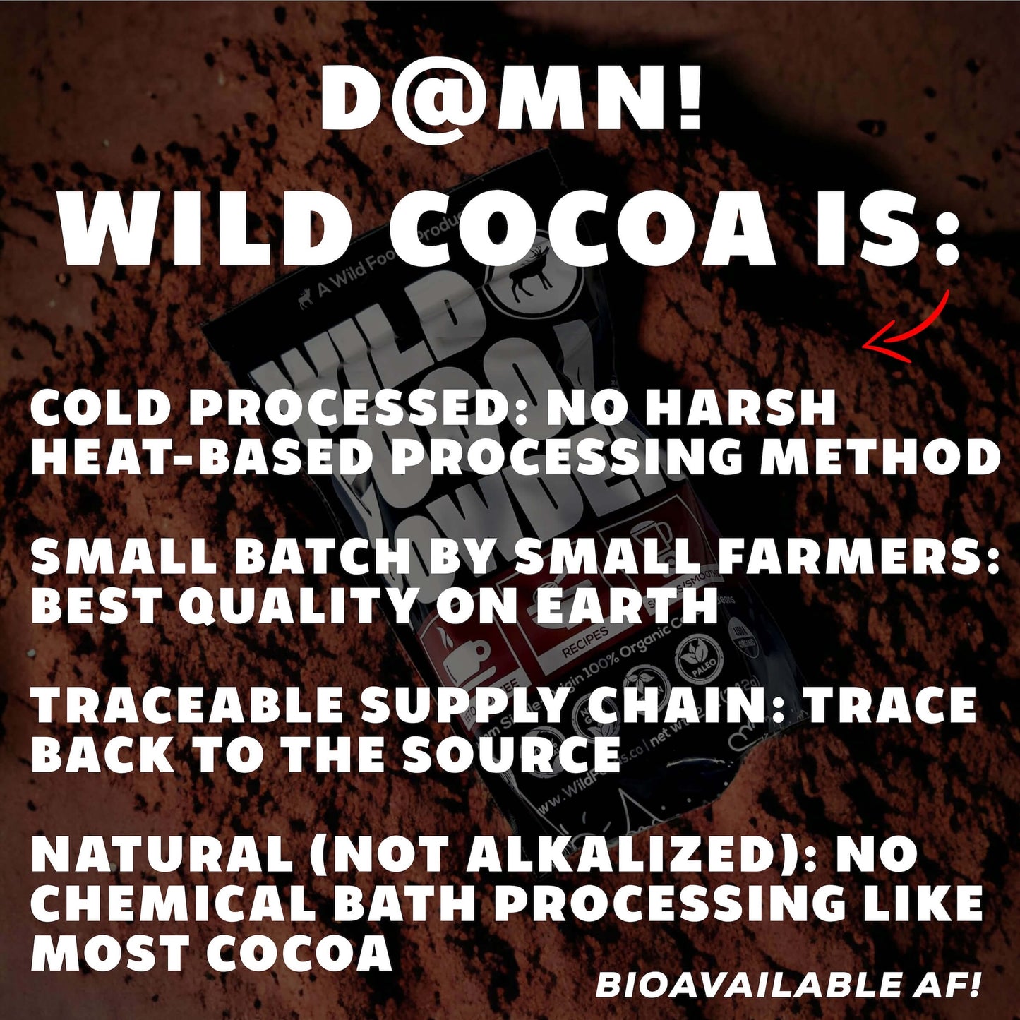 Wholesale Wild Cocoa Powder - Organic, Single-Origin, Small farms
