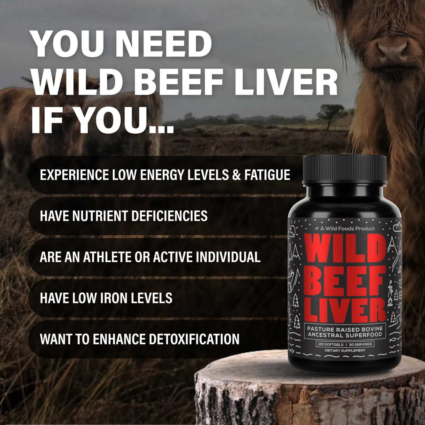 Wholesale case of 6 - NEW: Grass-Fed Beef Liver Capsules - 3000mg per serving