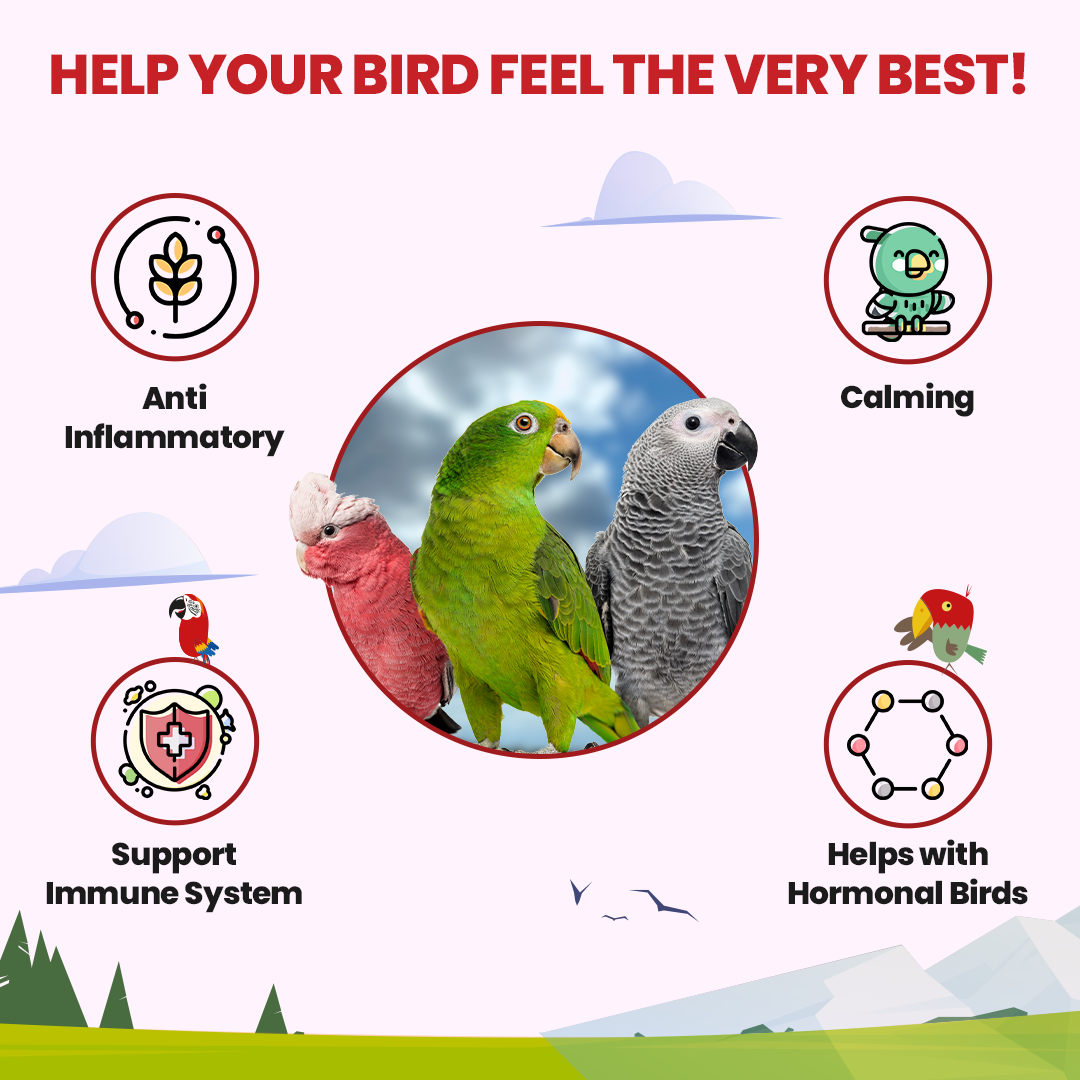 Halcyon Parrot Tea - Triathlete Store