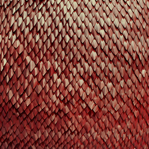 Kill The Vultures - Carnelian [CD]