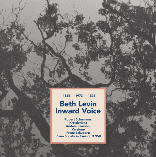 Eliasson / Levin - Inward Voice Music CD