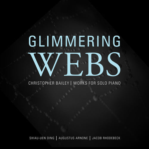 Bailey / Arnone / Rhodebeck / Ding - Glimmering Webs [2 CD]