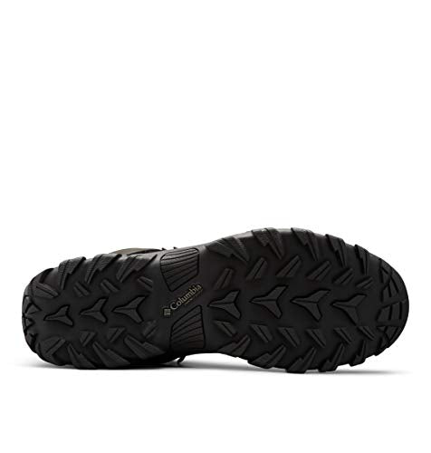 Columbia mens Newton Ridge Plus Ii Waterproof Hiking Boot, Black/Black, 10 US