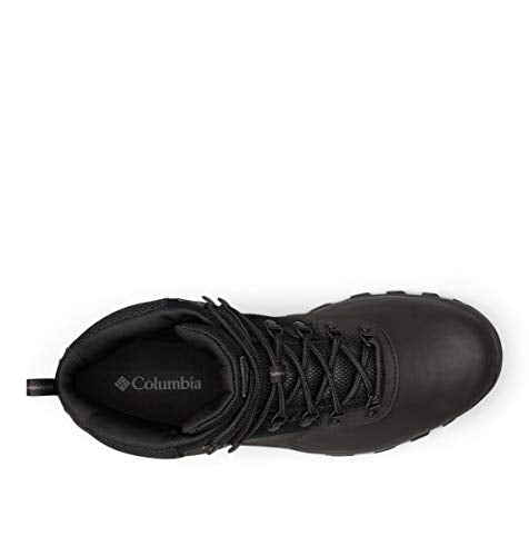Columbia mens Newton Ridge Plus Ii Waterproof Hiking Boot, Black/Black, 10 US