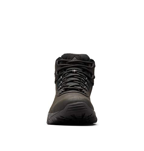 Columbia mens Newton Ridge Plus Ii Waterproof Hiking Boot, Black/Black, 10 US