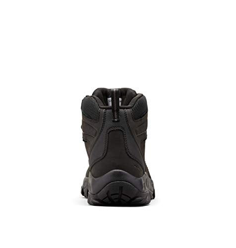 Columbia mens Newton Ridge Plus Ii Waterproof Hiking Boot, Black/Black, 10 US