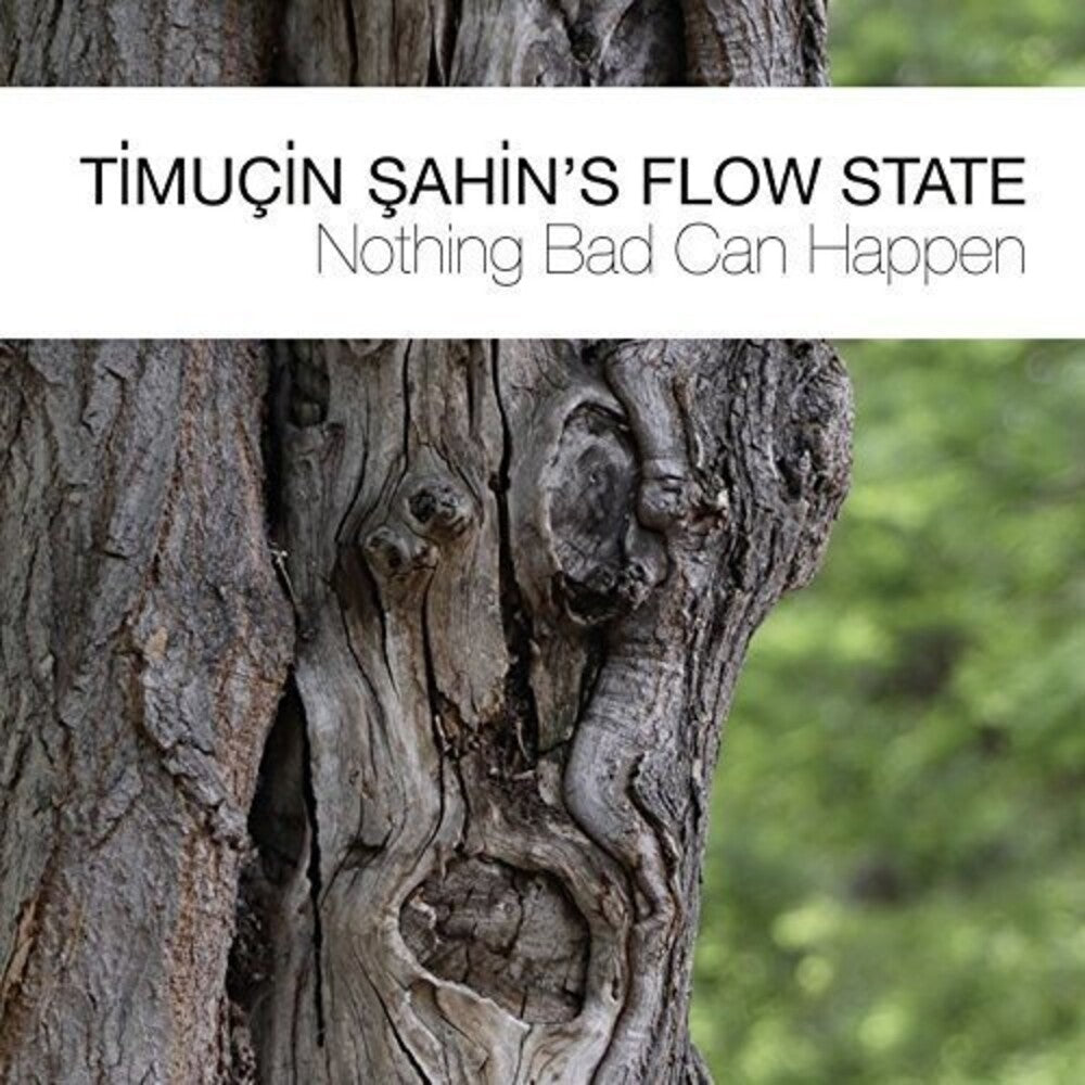 Timuçin ?ahin's Flow State - Nothing Bad Can Happen (Various Artists) [CD]