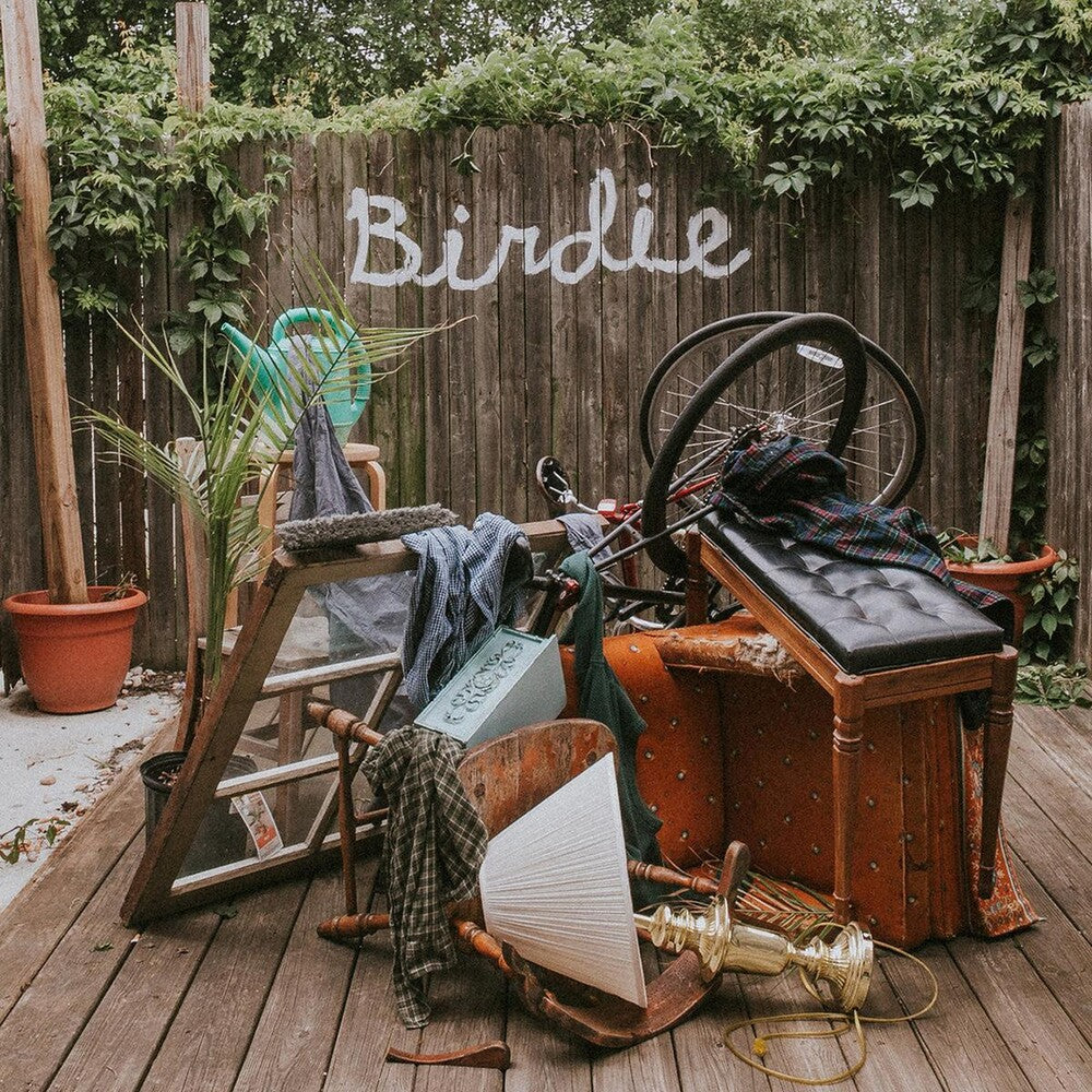 Slaughter Beach, Dog - Birdie [CD]