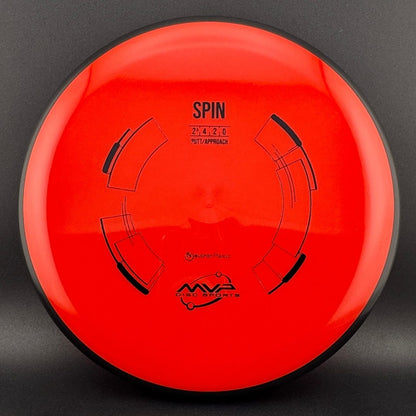Neutron Spin