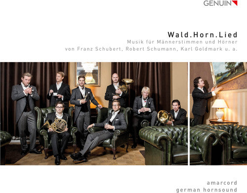K Goldmark / Hornsound,German - Wald.horn.lied [CD]
