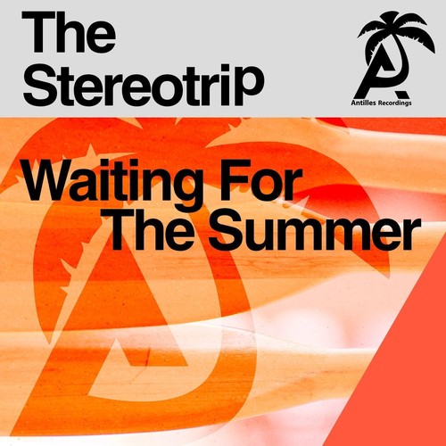 The Stereotrip - Waiting For The Summer [CD]