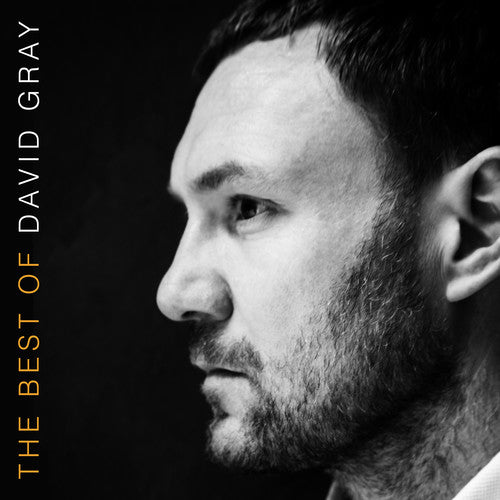 David Gray - The Best Of David Gray [Vinyl] Vinyl Record