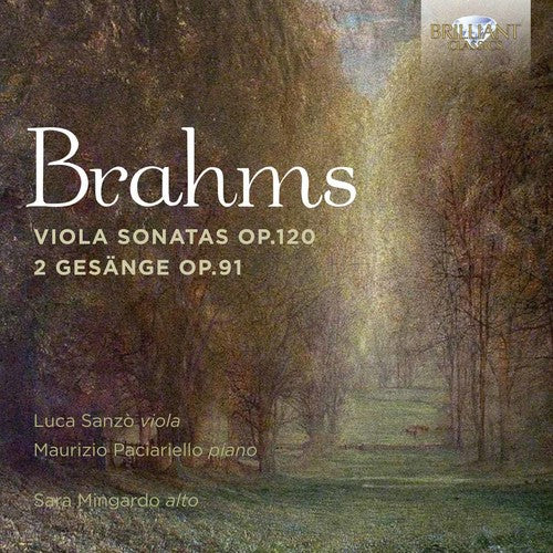 Brahms / Mingardo / Sanzo / Paciariello - Brahms: Viola Sonatas Op 120 / 2 Gesange Op 91 - Music CD