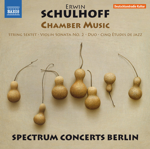Schulhoff / Brovtsyn / Sokolov - Erwin Schulhoff: Chamber Music [CD]