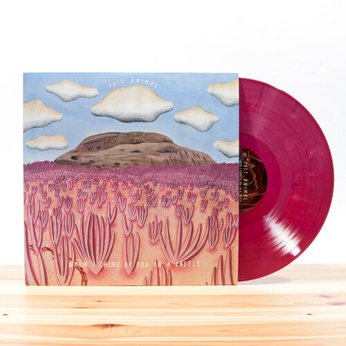 Post Animal - When I Think Of You In A Castle - Vinyl Record