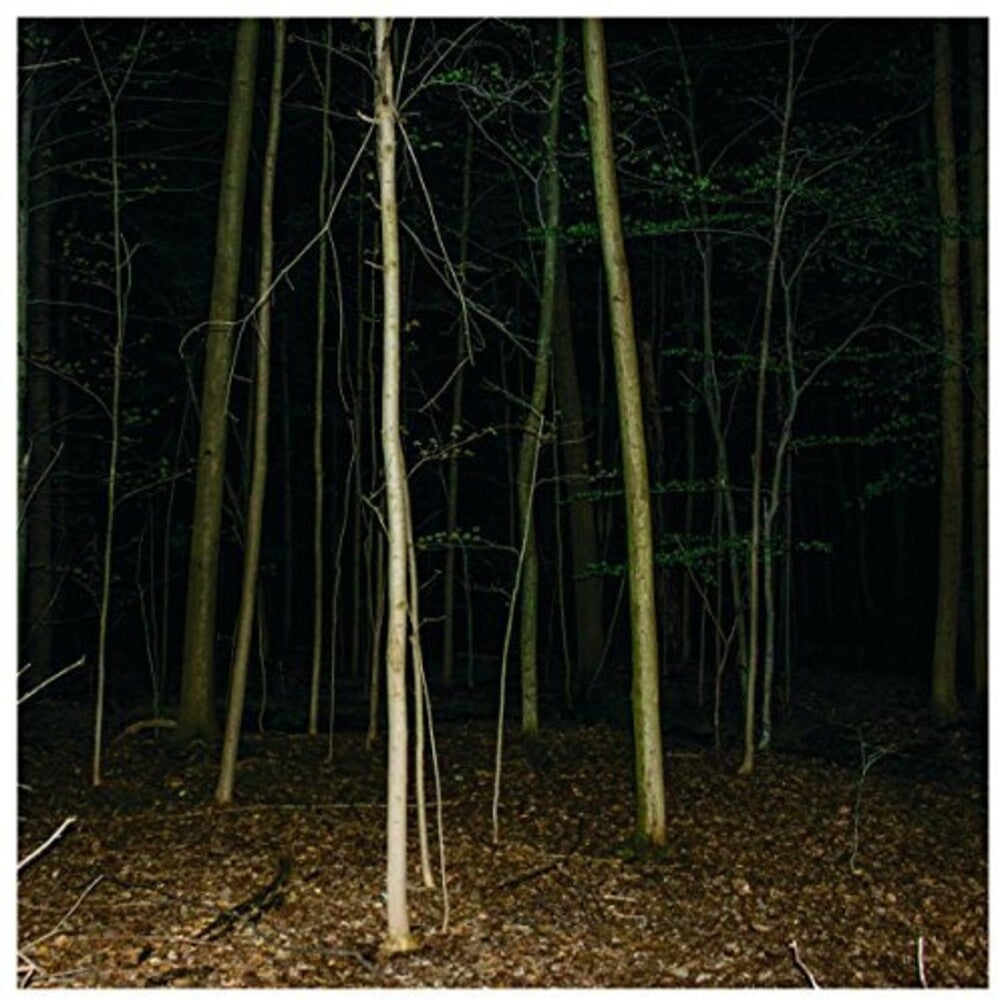 Express Rising - Fixed Rope Ii [LP] Vinyl Record