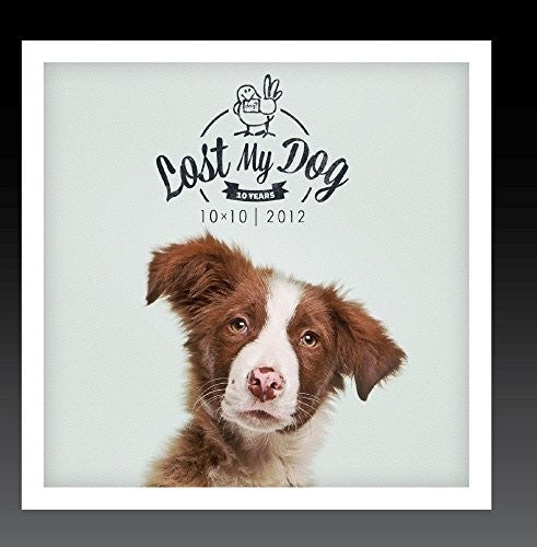 Lost My Dog 10x10 2012 / Var - Lost My Dog 10x10 - 2012 [CD]