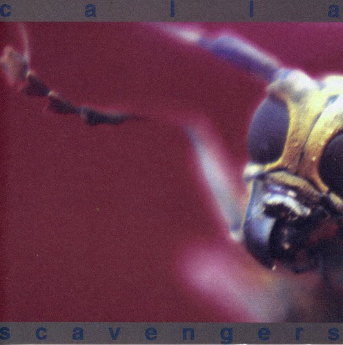Calla - Scavengers Music CD