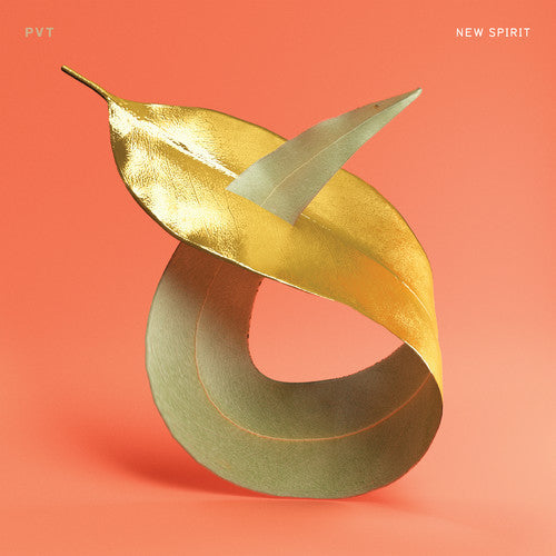 Pvt - New Spirit Music CD