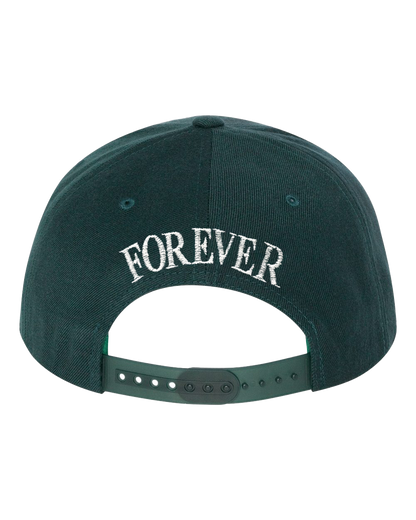 Wu York Snapback - Spruce
