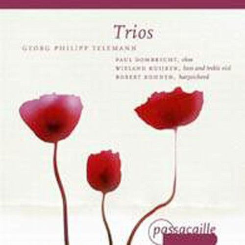 Paul Dombrecht - Trios Music CD