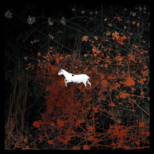 Les Discrets - Predateurs [CD]