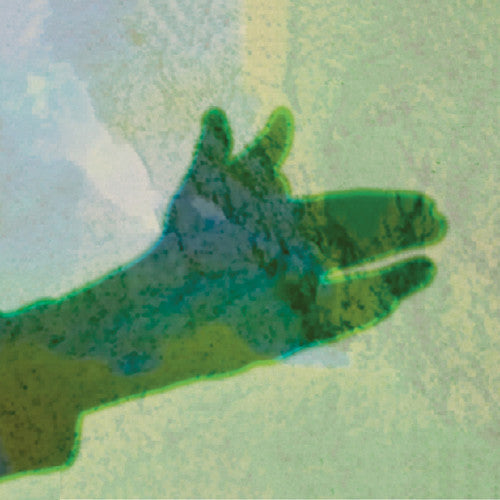 Native Instrument - Camo [LP] Vinyl Record