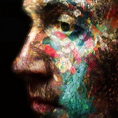 Daniel Osullivan - Veld Music CD