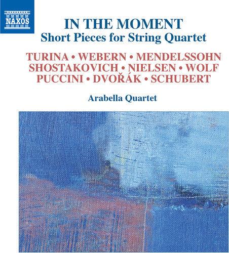 Schubert / Dvorak / Shostakovich - In the Moment Short Pieces for String Quartet [CD]