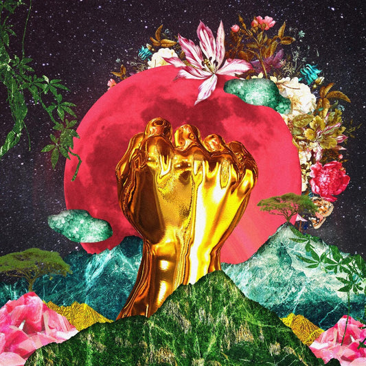 Rina Mushonga - In A Galaxy [CD]