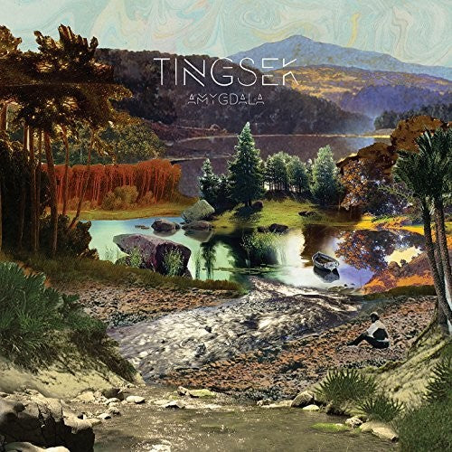 Tingsek - Amygdala Music CD