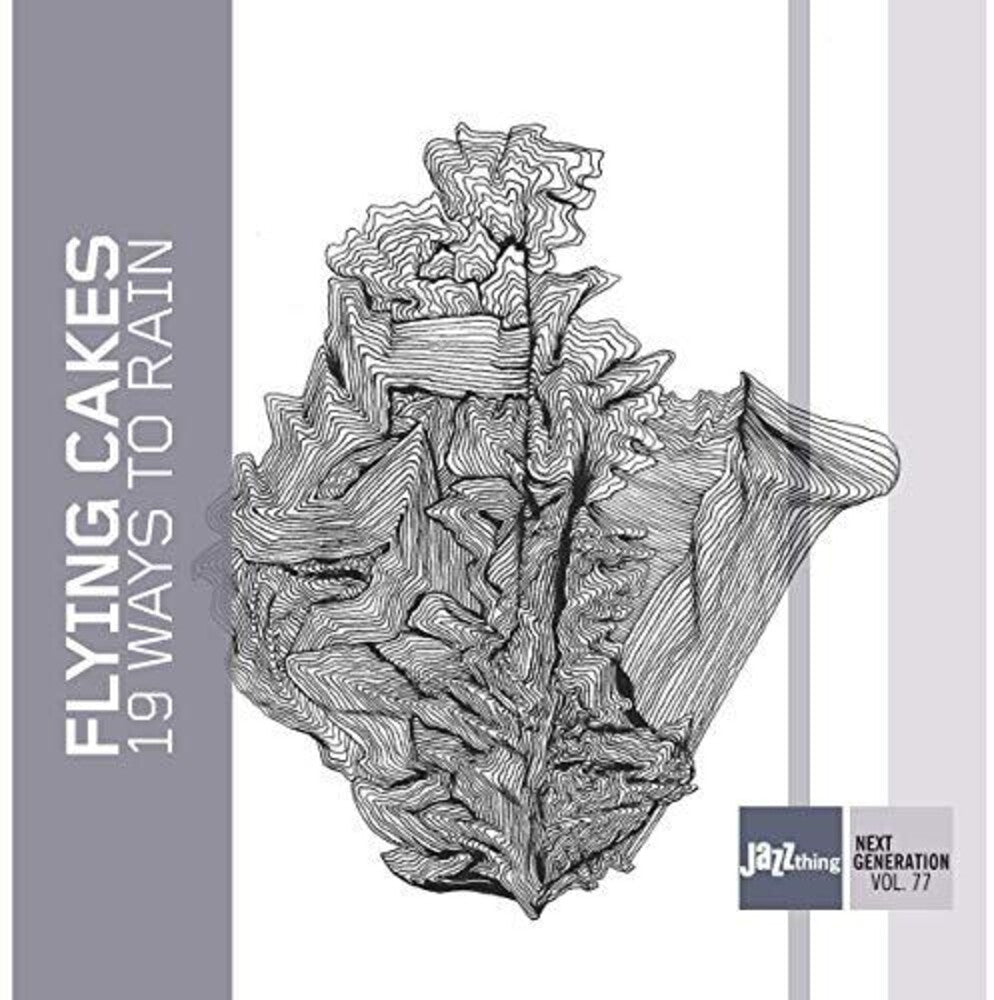 Flying Cakes - 19 Ways to Rain Music CD