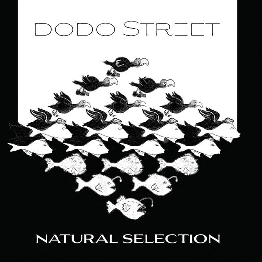 Adams / Dodo Street Band / Byrne - Natural Selection Music CD