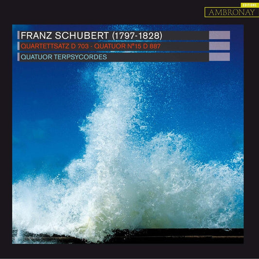 Quatuor Terpsycordes - Quartettsatz [CD]