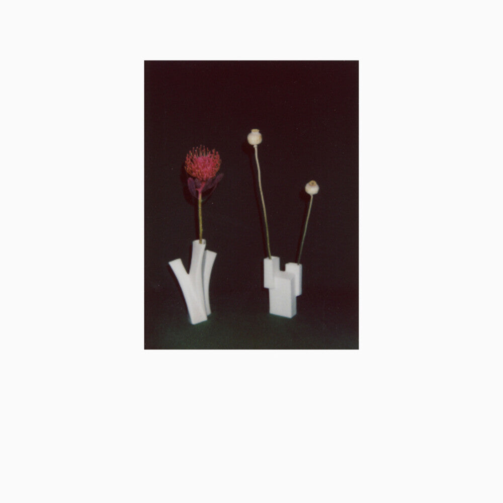 Felicia Atkinson - Flower & Vessel [CD]