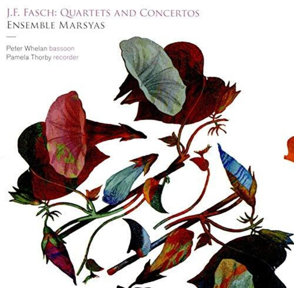 Fasch / Ensemble Marsyas / Thorby - Quartets & Concertos [CD]