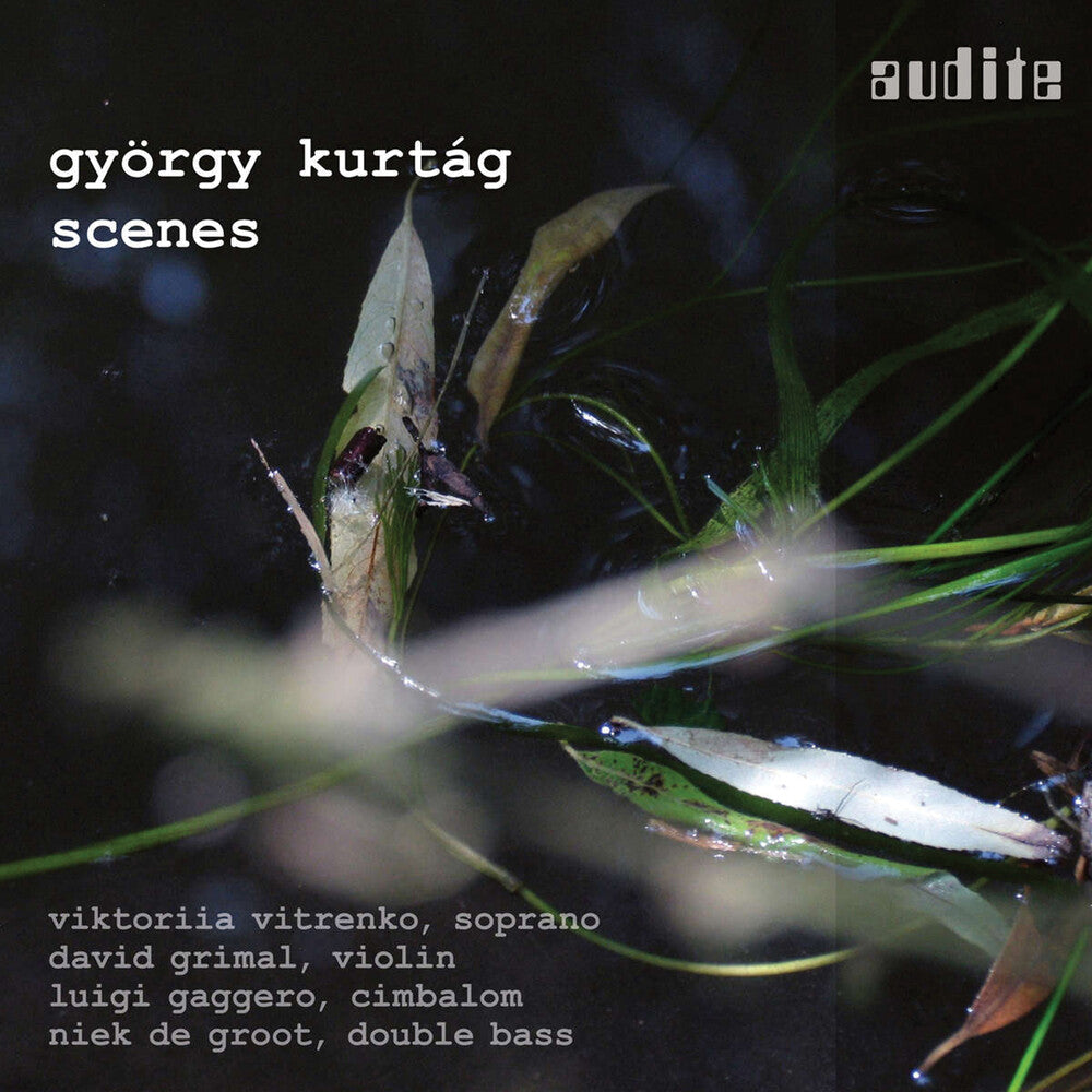 Kurtag / Vitrenko / Gaggero - Scenes [CD]