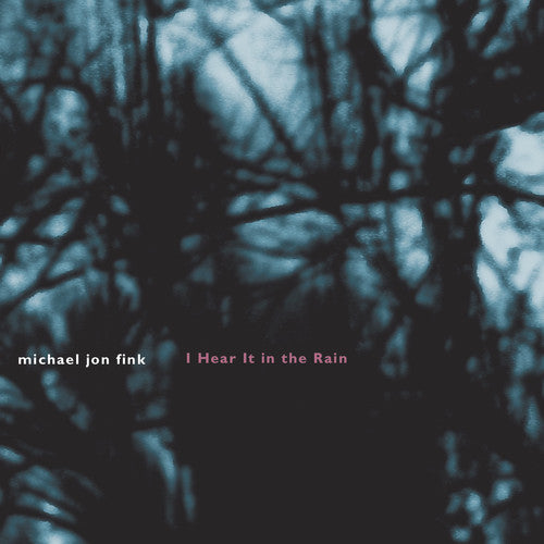 Michael Jon Fink - I Hear It in the Rain Music CD