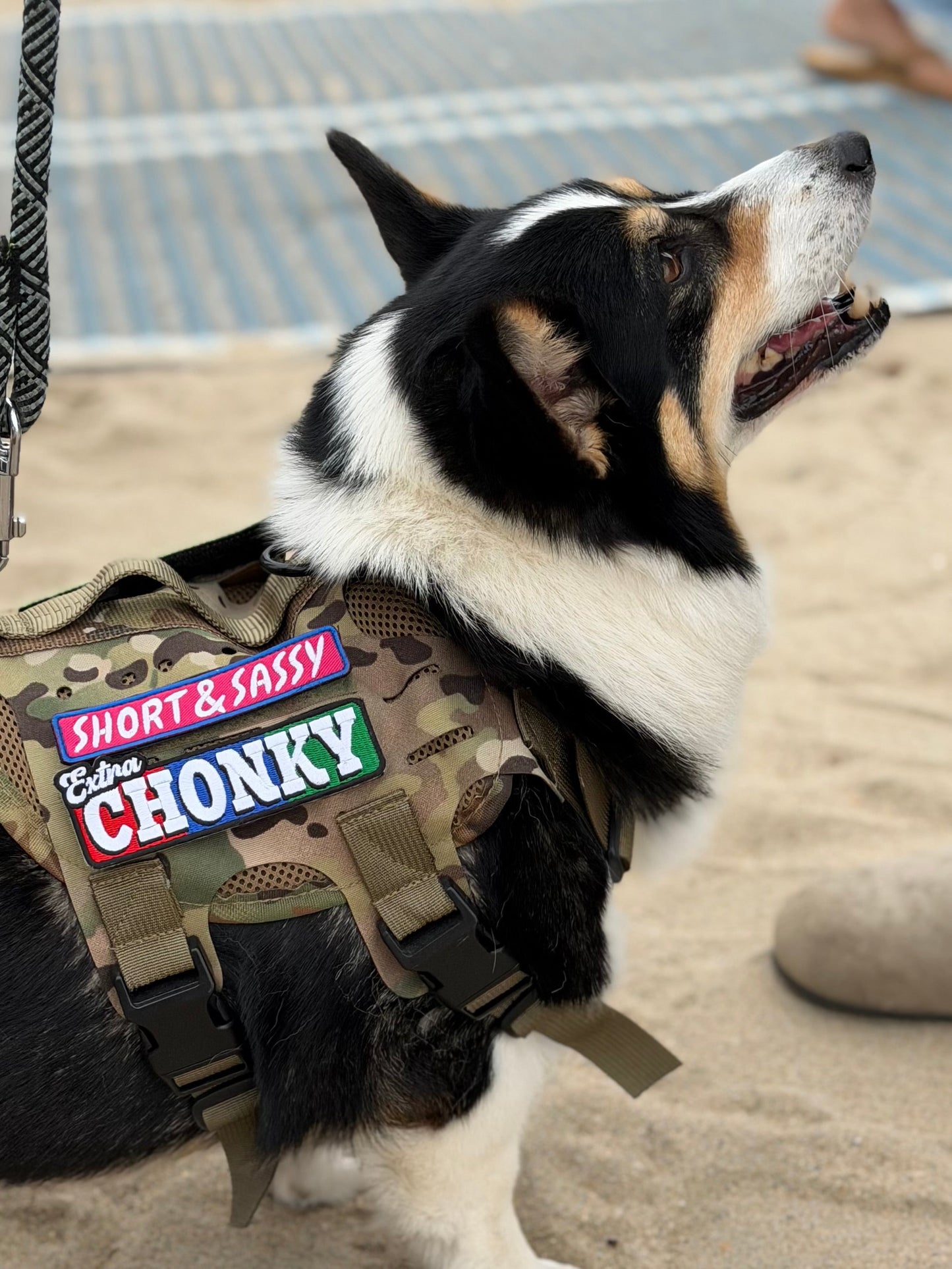 Extra Chonky Morale Patch