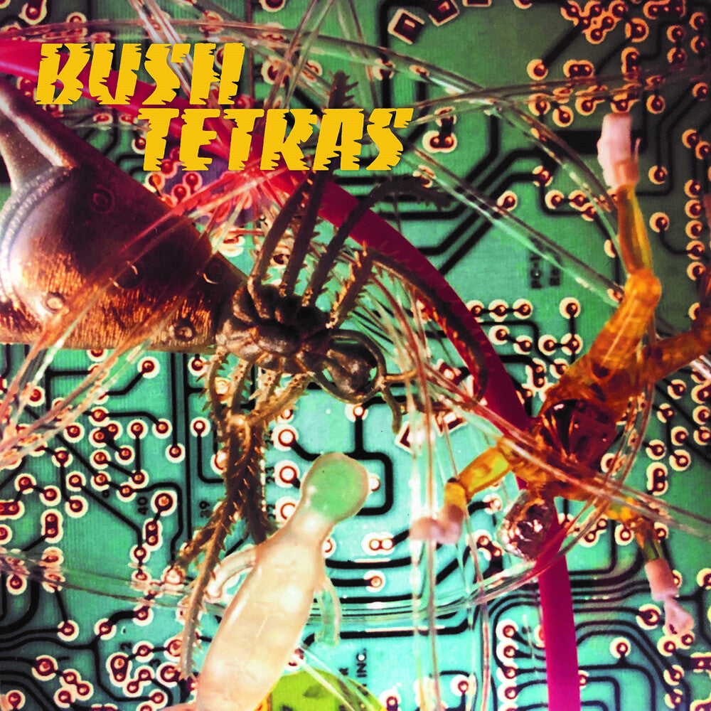 Bush Tertas - There Is A Hum / Seven Years [Vinyl Single]
