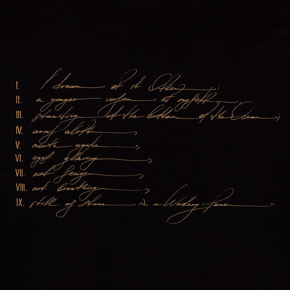 Telefon Tel Aviv - Dreams Are Not Enough Music CD