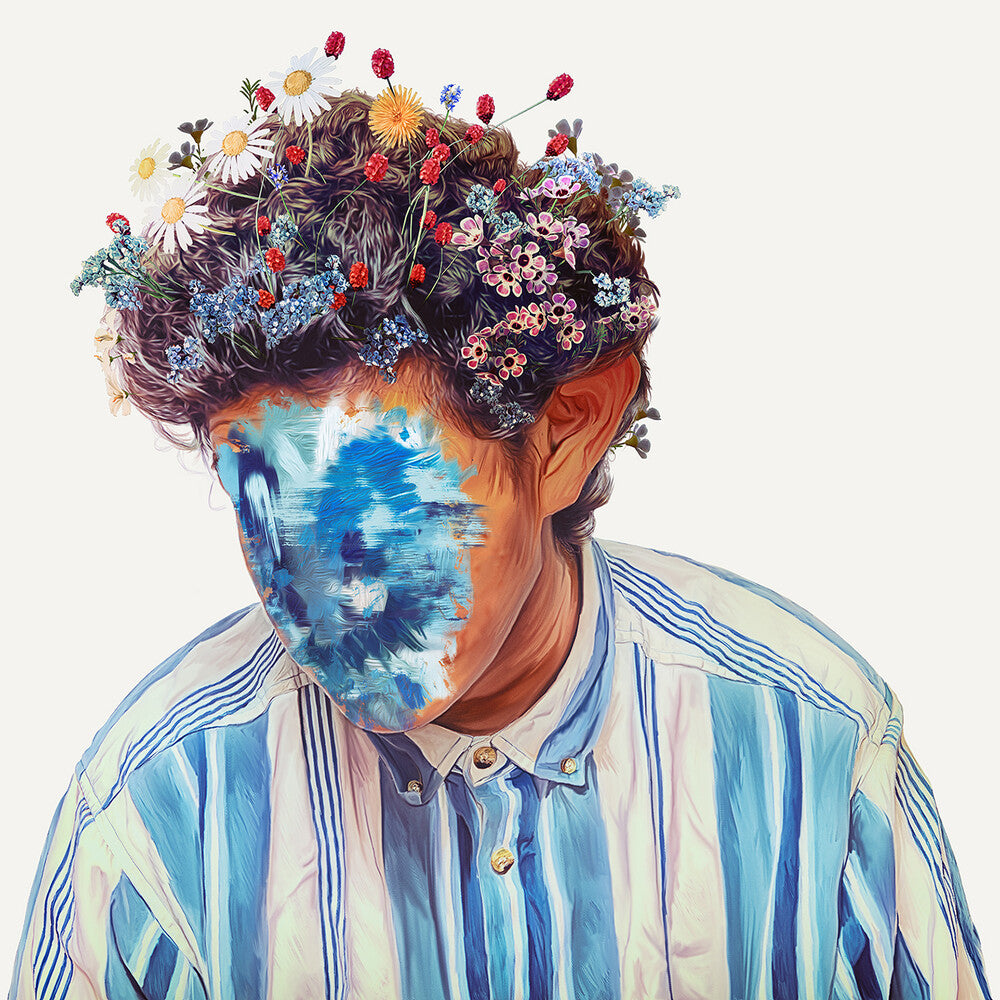 Hobo Johnson - The Fall of Hobo Johnson [LP] Vinyl Record