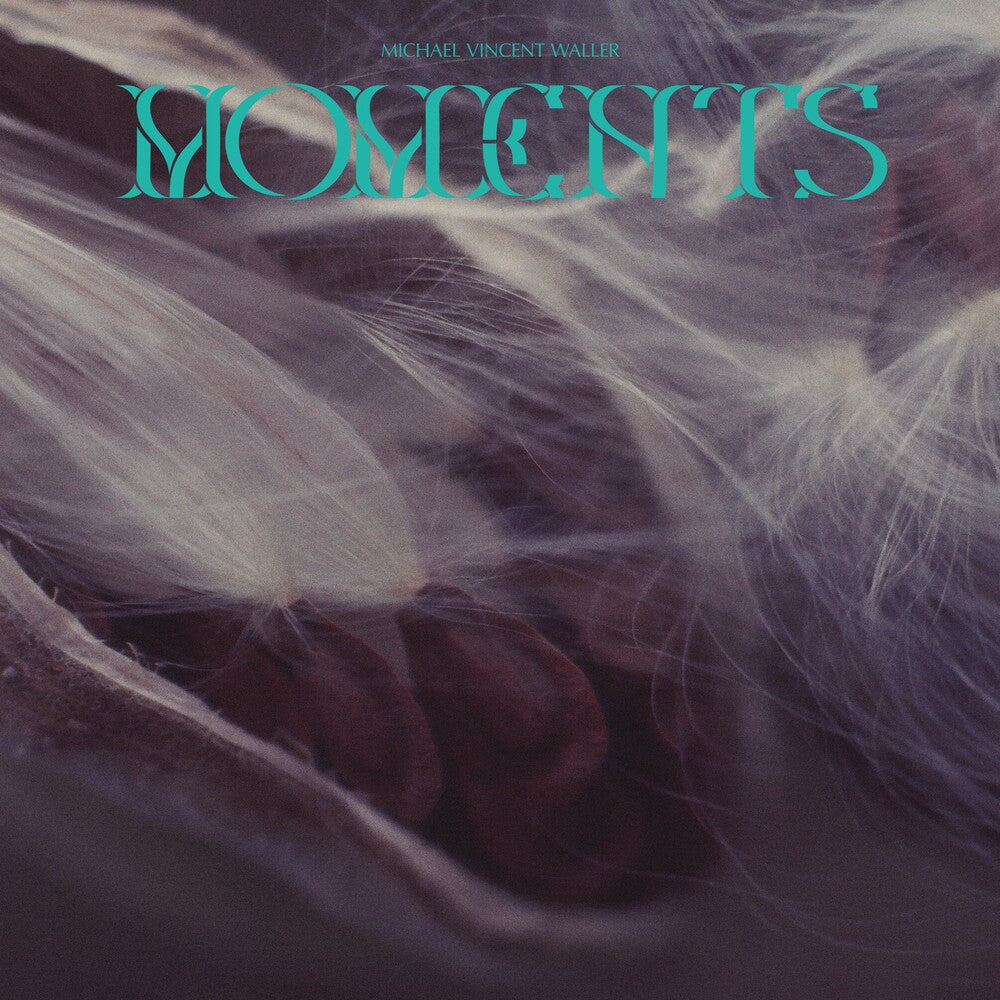 Michael Waller Vincent - Moments [LP] Vinyl Record